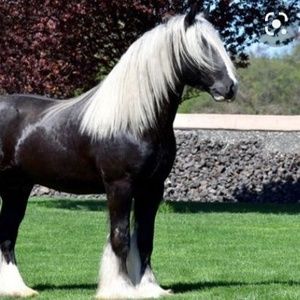 Meet your Posher, Hailey